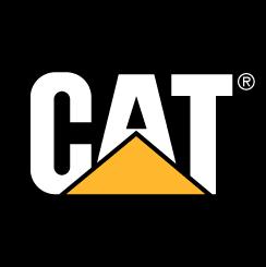 Logo cat